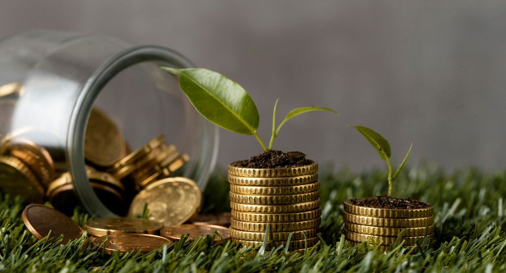 front-view-two-stacks-coins-grass-with-jar-plants