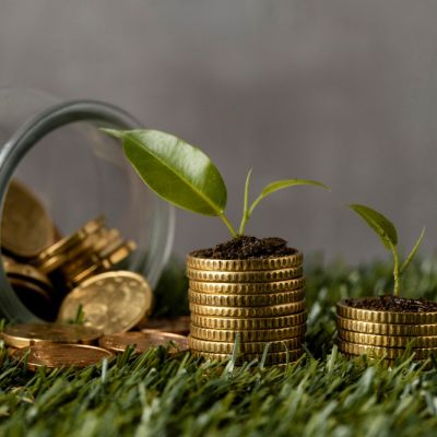 front-view-two-stacks-coins-grass-with-jar-plants